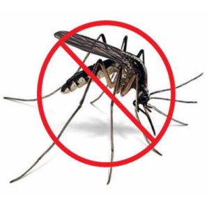 mosquitoes-control-service-algarve